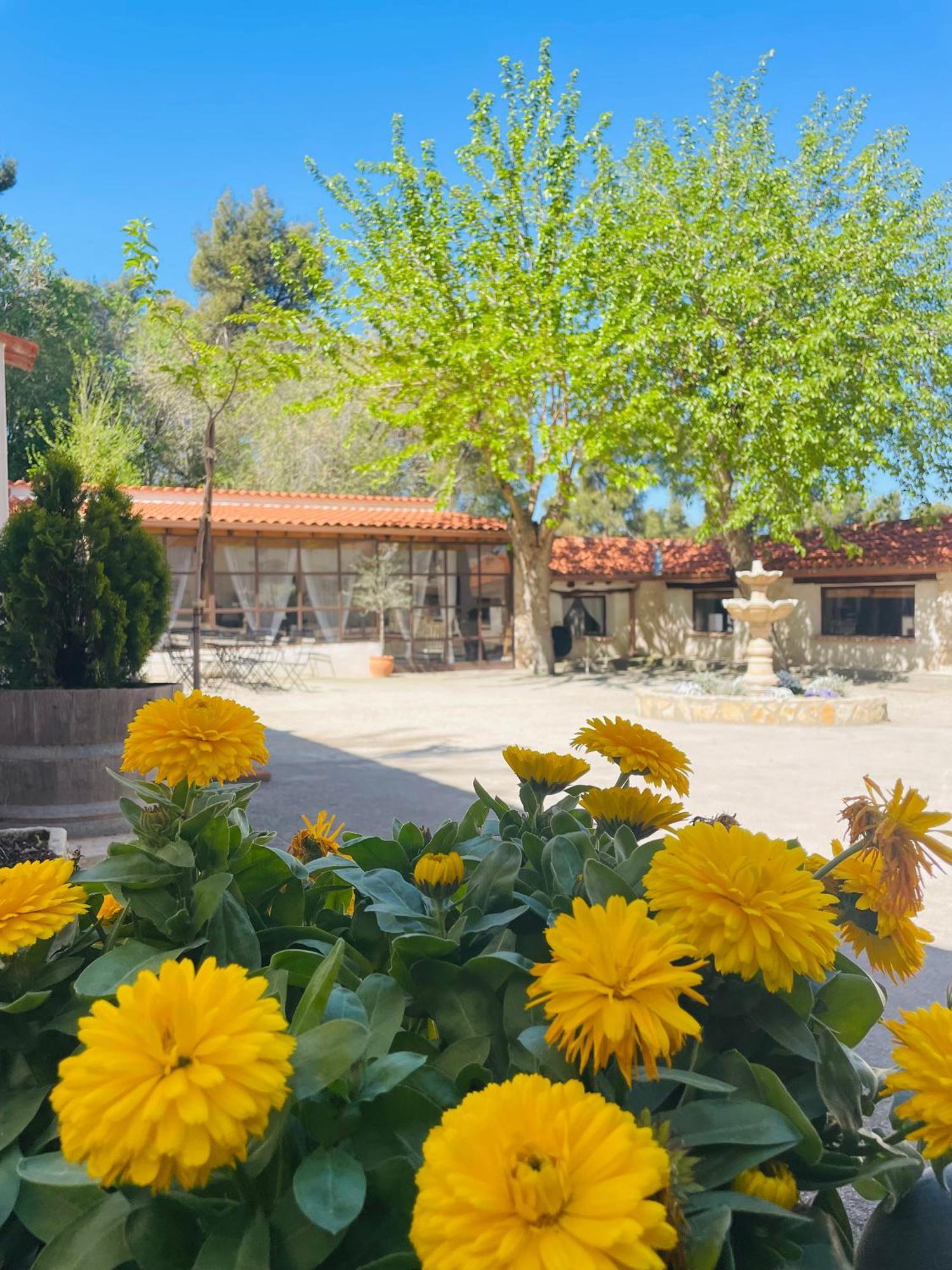 Casa Rural Majada Del Conde La Guardia  Exteriér fotografie